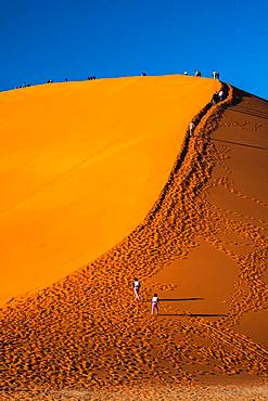 Visitors climb massive orange sand dune known as Dune 45, Sossusvlei area, Namib Desert, Namib-Naukluft, Namibia, Africa