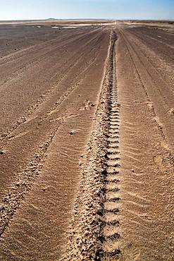 Tyre tracks delineate a seemingly endless straight road in Namib Desert near the infamous Skeleton Coast, Namibia, Africa