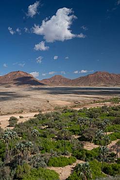 View over Hoarusib Riverbed, mountain range in background, Puros, north of Sesfontein, Nambia, Africa