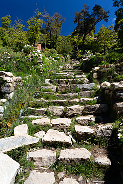 Long flight of Inca stone steps (the Inca Stairs) leading from the water to the top of Sun Island, Lake Titicaca, Bolivia, South America