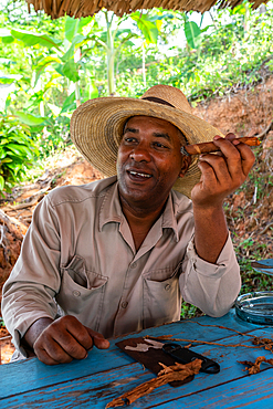 Tobacco plantation worker in straw hat, savouring cigar he just made, Vinales, Cuba (Model Release) 1