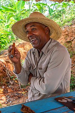 Tobacco plantation worker in straw hat, savouring cigar he just made, Vinales, Cuba (Model Release) 4