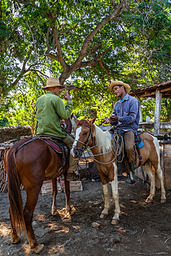 Cowboys in discussion, with their horses, at a farm near Trinidad, Cuba 3 (2 Model Releases)