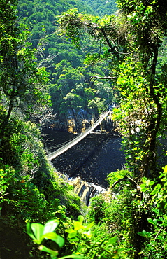 Footbrige Over Storms River, Tsitsikamma National Park, South Africa