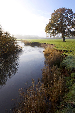 River Culm, Culm Valley, Devon, England, United Kingdom, Europe