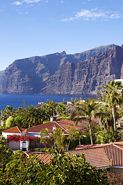 Los Gigantes, Tenerife, Canary Islands, Spain, Atlantic, Europe