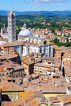 View of Duomo from Torre del Mangia, Piazza del Campo, UNESCO World Heritage Site, Siena, Tuscany, Italy, Europe