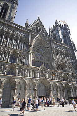 Exterior of the west front, with seagull flying over, Nidaros Cathedral, Trondheim, Trondelag, Norway, Scandinavia, Europe