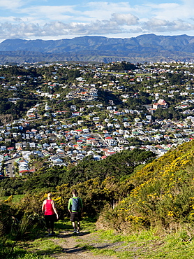 Suburbs and Rimutaka Ranges from Kingston with couple on walking track, Wellington, North Island, New Zealand, Pacific