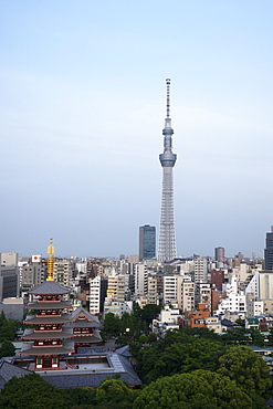 View over city with Tokyo Skytree and Five-Storied Pagoda, Tokyo, Japan, Asia