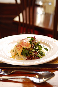 Red snapper fish dish in restaurant, England, United Kingdom, Europe