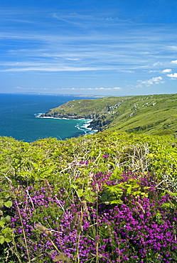 Coast near St. Ives, Cornwall, England, United Kingdom, Europe