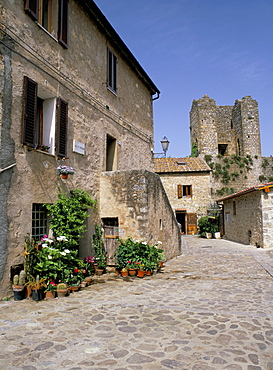 Old house with pots of flowers in the Largo di Fontebranda in best preserved medieval village in Tuscany, Monteriggioni, Siena, Tuscany, Italy, Europe