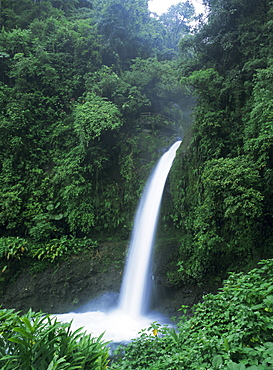 La Paz Waterfall on the Rui La Paz, Vara Blanca, Heredia Province, Costa Rica, Central America