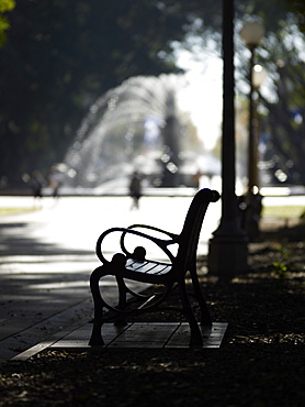 Hyde Park, Sydney, New South Wales, Australia, Pacific