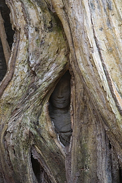 Ta Prohm Kei temple, Angkor Thom, Angkor, UNESCO World Heritage Site, Siem Reap, Cambodia, Indochina, Southeast Asia, Asia