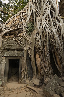 Taprohm Kei temple, Angkor Thom, Siem Reap, Cambodia