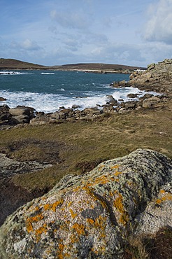 Bryer, Isles of Scilly, United Kingdom, Europe