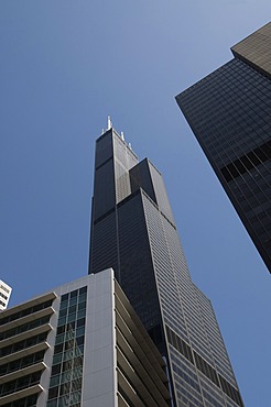 Sears Tower, Chicago, Illinois, United States of America, North America