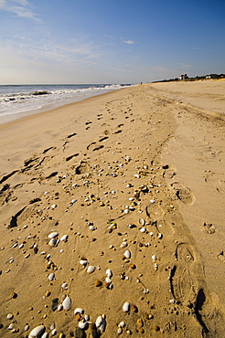 Main Beach, East Hampton, the Hamptons, Long Island, New York State, United States of America, North America