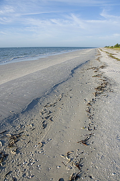 Beach, Sanibel Island, Gulf Coast, Florida, United States of America, North America