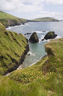 View from Slea Head Drive near Dunquin, Dingle Peninsula, County Kerry, Munster, Republic of Ireland, Europe