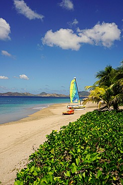 Nevis, St. Kitts and Nevis, Leeward Islands, West Indies, Caribbean, Central America 