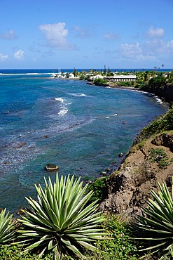 Atlantic coast, St. Kitts, St. Kitts and Nevis, Leeward Islands, West Indies, Caribbean, Central America 