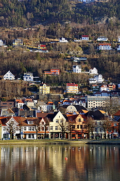 Lille Lungegard lake, Bergen, Norway, Scandinavia, Europe