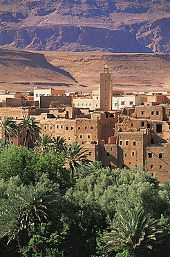 Kasbah, Draa Valley, Morocco