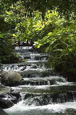 Tabacon Hot Springs, Volcanic hot springs fed from the Arenal Volcano, Arenal, Costa Rica