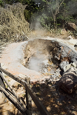 Steaming volcanic mud pools, Rincon de la Vieja National Park at foot of Rincon Volcano,  Gaunacaste, Costa Rica