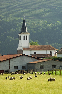 Church in countryside near Saint Jean Pied de Port (St.-Jean-Pied-de-Port),  Basque country, Pyrenees-Atlantiques, Aquitaine, France, Europe