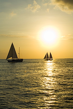 Sailboats at sunset, Key West, Florida, United States of America, North America