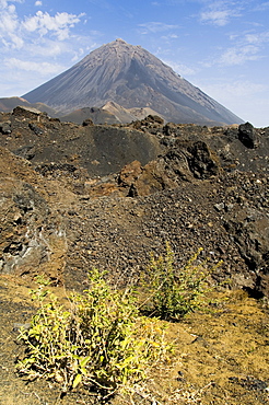 The volcano of Pico de Fogo in the background, Fogo (Fire), Cape Verde Islands, Africa