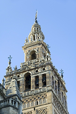 La Giralda, Santa Cruz district, Seville, Andalusia (Andalucia), Spain, Europe