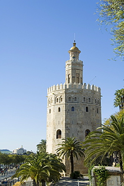 Torre del Oro, El Arenal district, Seville, Andalusia (Andalucia), Spain, Europe