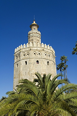 Torre del Oro, El Arenal district, Seville, Andalusia (Andalucia), Spain, Europe