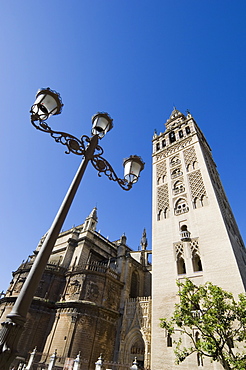 Seville Catheral and La Giralda, Plaza Virgin de los Reyes, Santa Cruz district, Seville, Andalusia (Andalucia), Spain, Europe