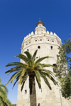 Torre del Oro, El Arenal district, Seville, Andalusia (Andalucia), Spain, Europe