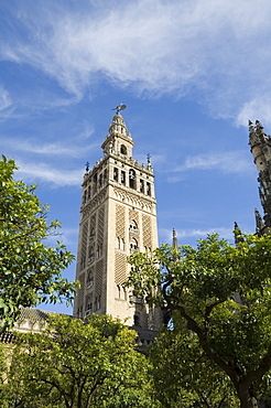 La Giralda, Santa Cruz district, Seville, Andalusia, Spain, Europe