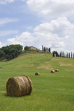 Typical view of the Tuscan landscape, Le Crete (The Crete), Tuscany, Italy, Europe