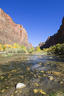 Zion National Park, Utah, United States of America, North America