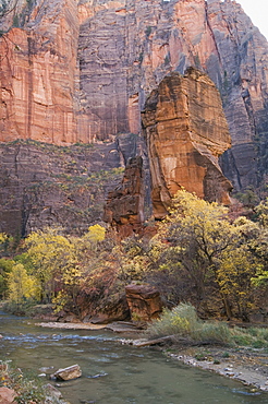 Zion National Park, Utah, United States of America, North America