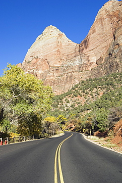 Zion National Park, Utah, United States of America, North America