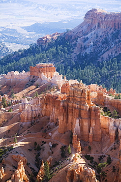 Bryce Canyon National Park, Utah, United States of America, North America