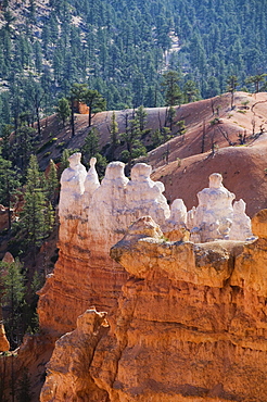 Bryce Canyon National Park, Utah, United States of America, North America