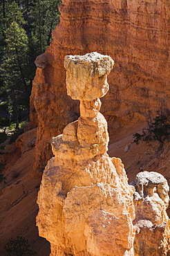 Bryce Canyon National Park, Utah, United States of America, North America