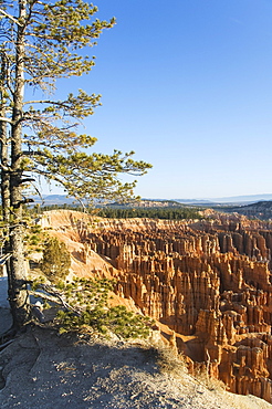 Bryce Canyon National Park, Utah, United States of America, North America