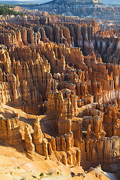 Bryce Canyon National Park, Utah, United States of America, North America